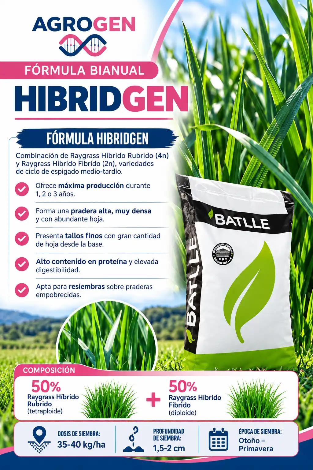 Hibridgen de Agrogen