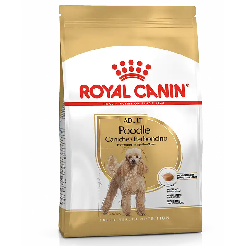 Royal canin caniche adulto